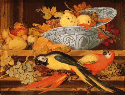 Still Life with Fruit and Macaws by Balthasar van der Ast